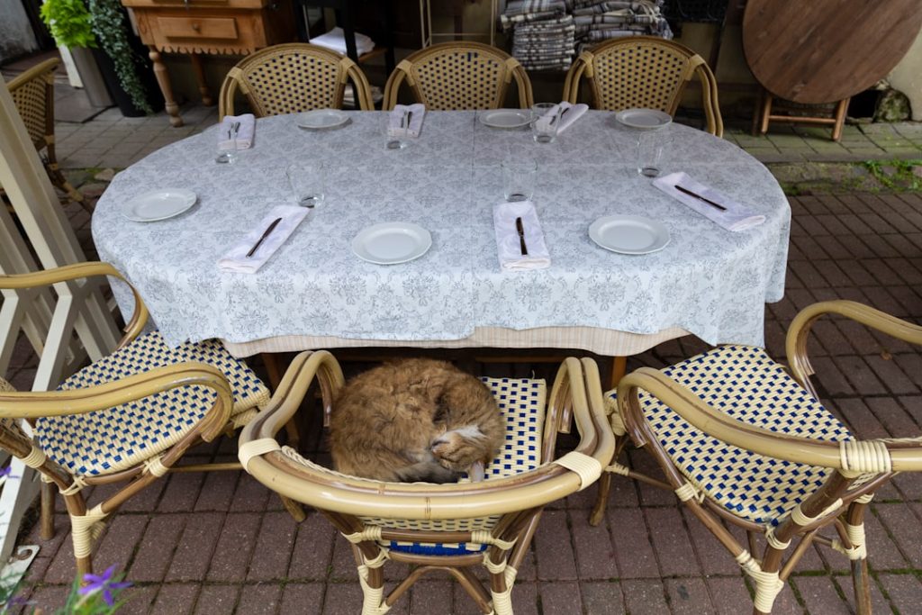 Photo Baccarat table